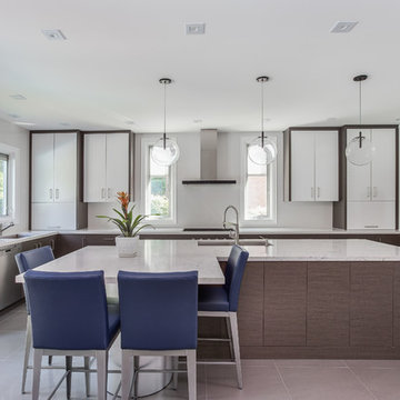 Alta Vista Project