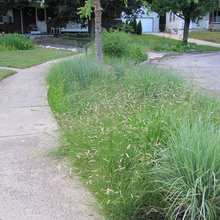 Parking Strip