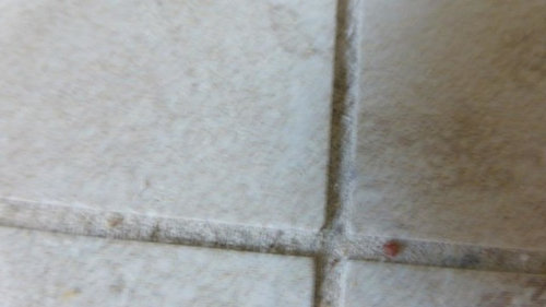 Shower Floor Poor Epoxy Grout Job