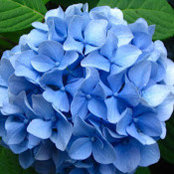 Jessica Zukosky's photo