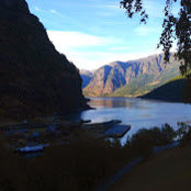 Bruce Markell's photo