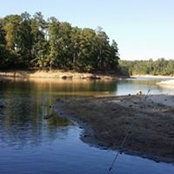 Meloney Andrews's photo