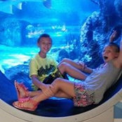 Lisa Denger's photo