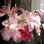 Debra Boles's photo