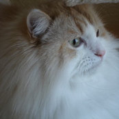 Photo de bherleth