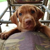 Chad McCord's photo