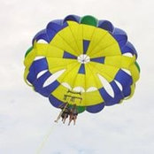 Nina Koutsias's photo