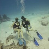 Gregg Roach's photo