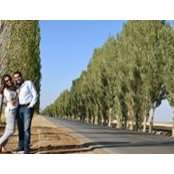 Mohamad Kurdy's photo
