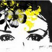 Bujare Ibroci's photo