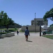 Rebecca Abrams's photo