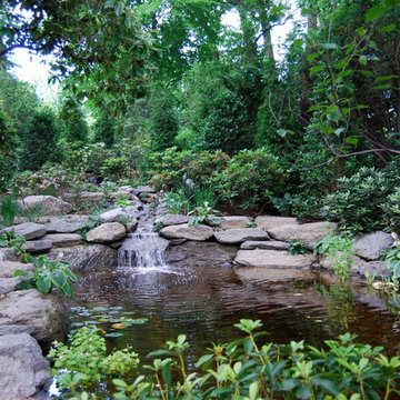 Water Features