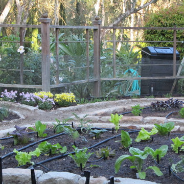 Fairbanks Ranch Edible Garden