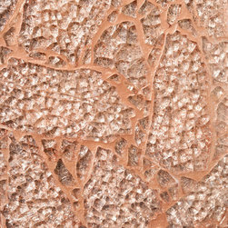 Stone Fox Collection - Products