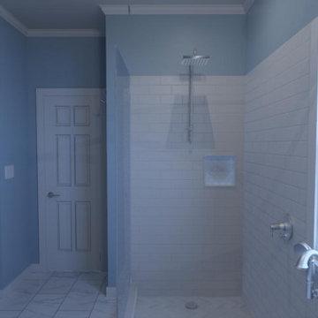 Palmetto Renovations of Columbia | Shower Renovation | Bee Bath
