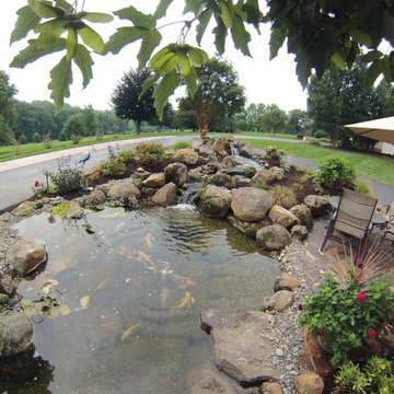 Large Scale Pond Project