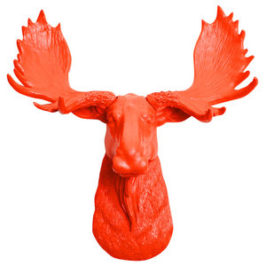 Mini Faux Moose Head Wall Mount Contemporary Wall Sculptures By White Faux Taxidermy Houzz