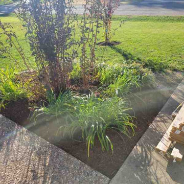 Alberto Alavez Professional Lawn Services LLC 7