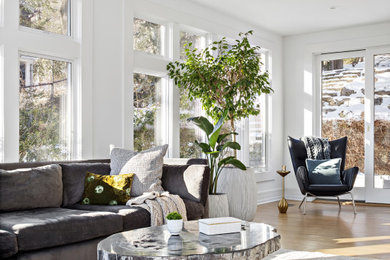 Living room - transitional light wood floor and beige floor living room idea in New York with white walls