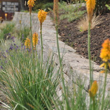 Curved Basalt Stone Wall, Plantings