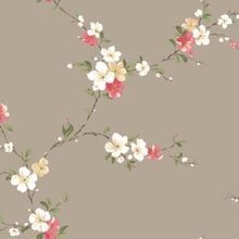 nichole_schumaker's ideas
