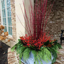 Christmas Exterior