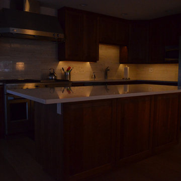 Under Cabinet LED Lighting