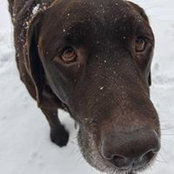 Craig MacDougall's photo