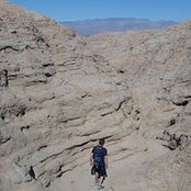 Tony Cunavelis's photo
