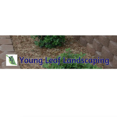 Young Leaf Landscaping