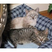 Wendy L. Basting's photo