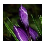 Kim Perry's photo