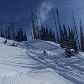 Brad MacDonald's photo