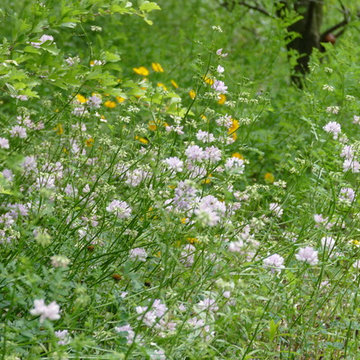 Naturnahes Firmengelände für die Kärcher GmbH & Co KG (Winnenden)