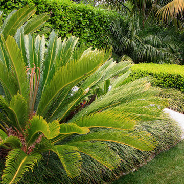 Birkenhead Garden and Pool