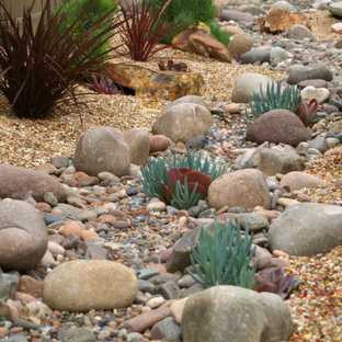 Großer, Halbschattiger Stilmix Kiesgarten hinter dem Haus in San Diego