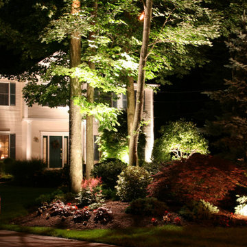 Beauty in the Landscape Lighting