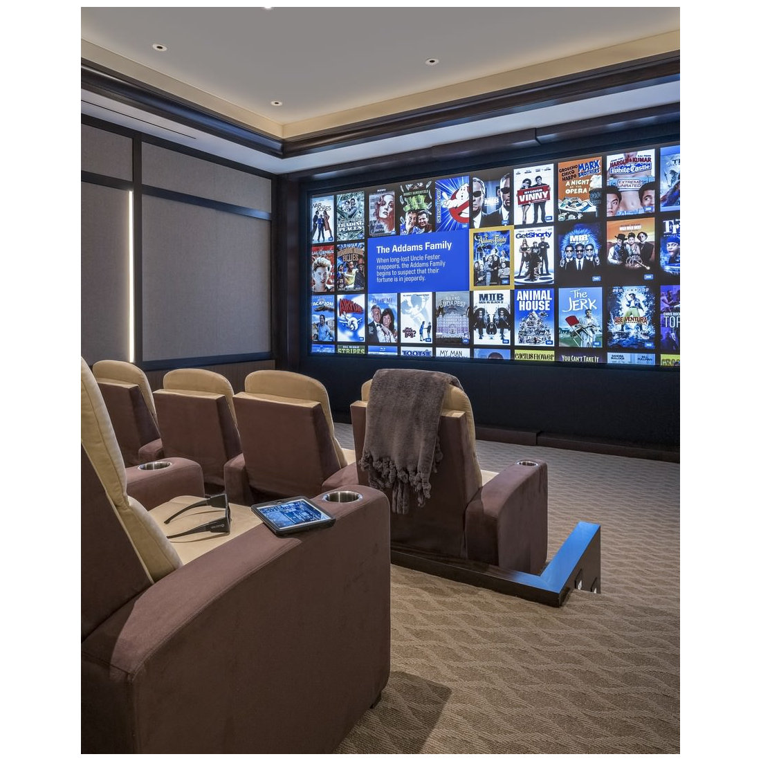 Home Theater - Acoustically Engineered multi-purpose Screening Room