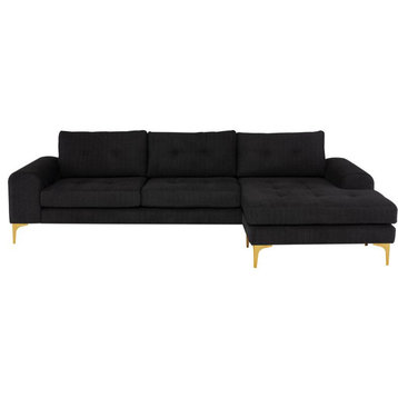 Nuevo Furniture Colyn Sectional Sofa in Coal/Gold