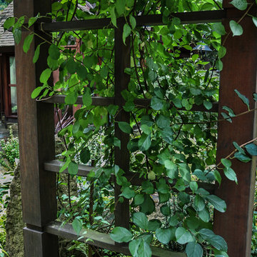 Green Arbor