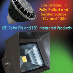 LED Retrofits - Lighting