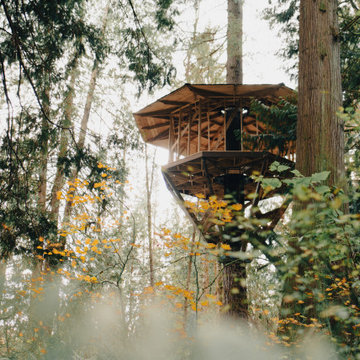 Meditation Treehouse