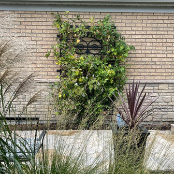 Garden Haven Backyard Transformation