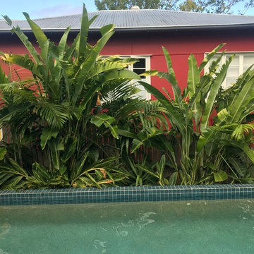 Bardon Garden Two
