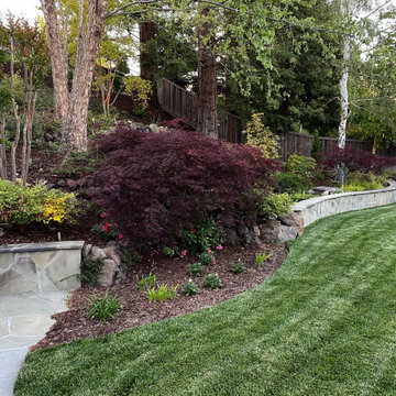 Moraga Happy Place Garden