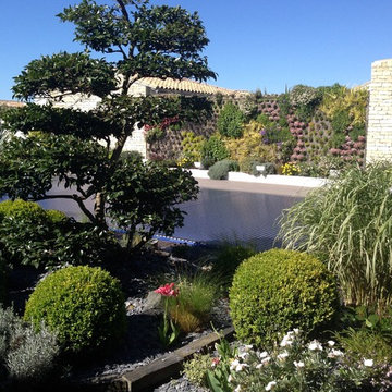 Jardin et murs végétalisés