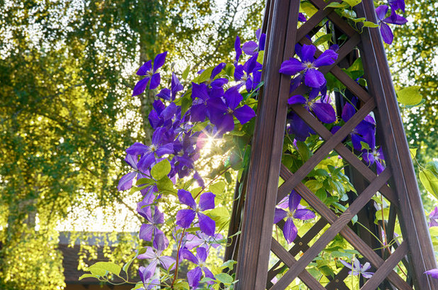 Современный Сад by Евгения Руссу