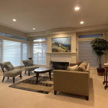 Sheer Shades for the Living Room | Amazing Blinds by Armi