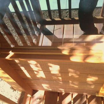 Redwood Temple Treehouse