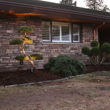 Landscape Makeovers